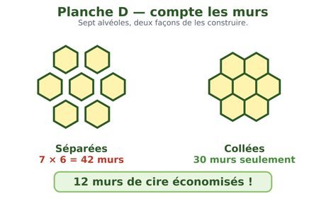 Planche D · les murs