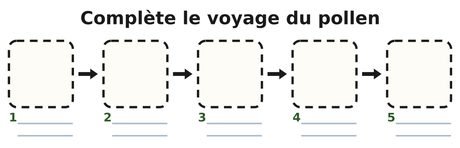 Schéma vierge à compléter